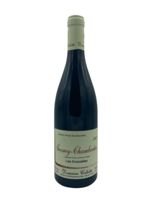 Gevrey Chambertin Les Evocelles 2019 Domaine Collotte