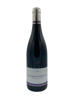 Chambolle Musigny 2018 Sigaut
