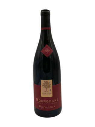 Bourgogne Pinot Noir